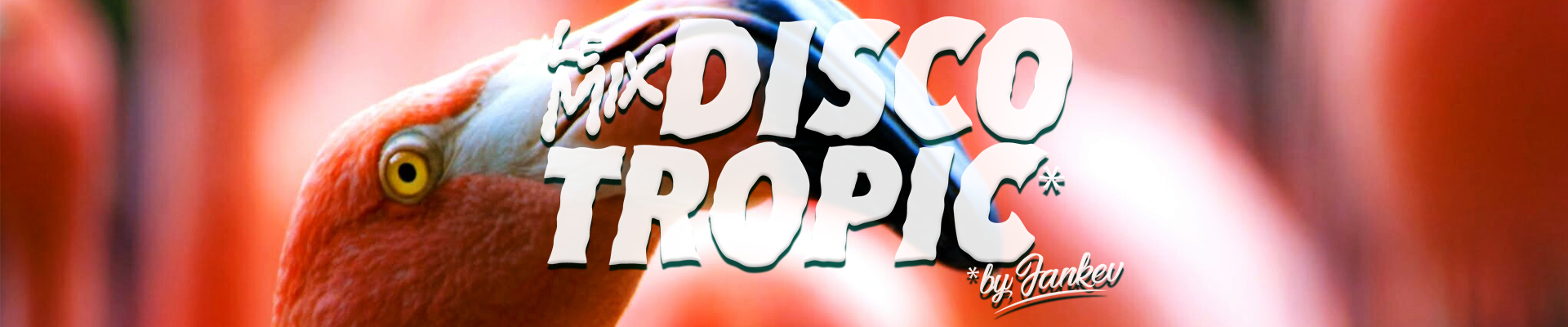 Le mix « Discotropic »